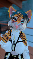 Gatita Base